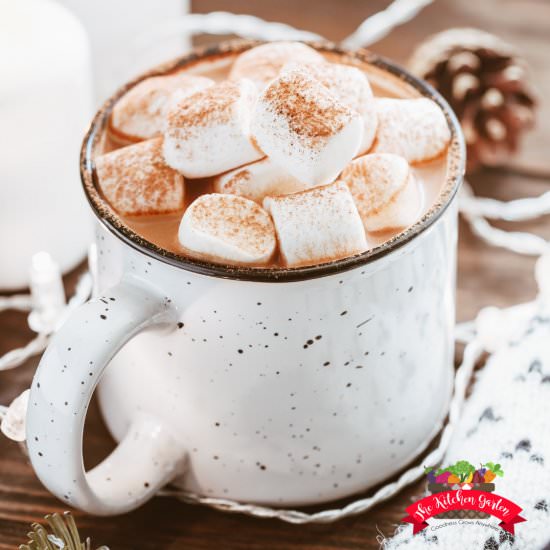 Cinnamon Hot Cocoa Mix - Recipe photo by KitchenGarten