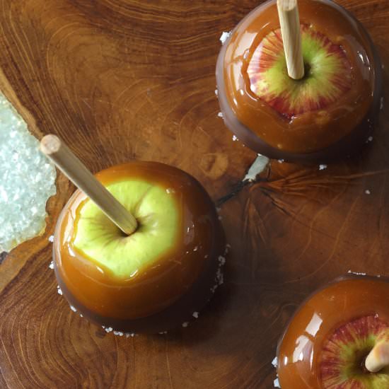 Chocolate Sea Salt Caramel Apples - Recipe photo by The Royally Baked