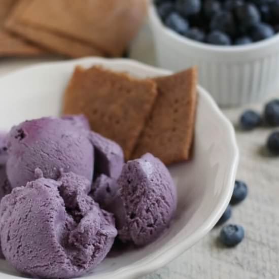 Blueberry Cheesecake Ice Cream - Recipe photo by theprairiehomestead