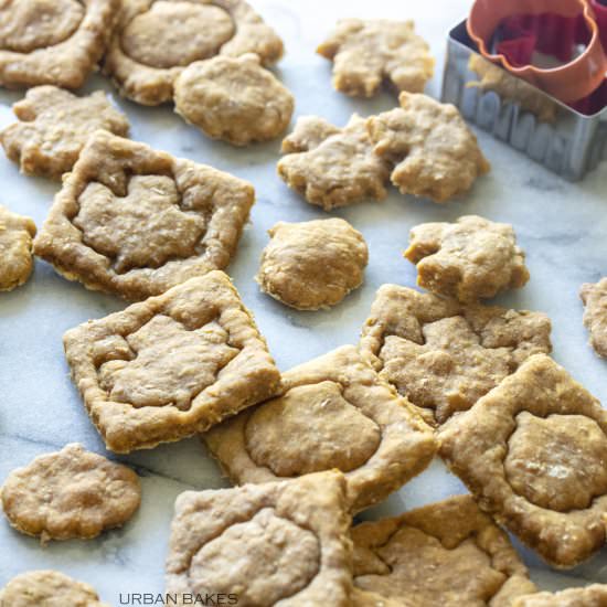 Maple Pumpkin Snaps - Recipe photo by URBANBAKES