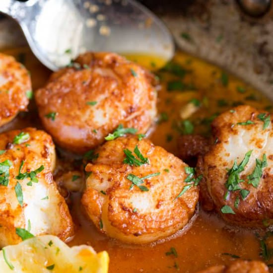Lemon Paprika Garlic Butter Scallop - Recipe photo by sprinkles and sprouts
