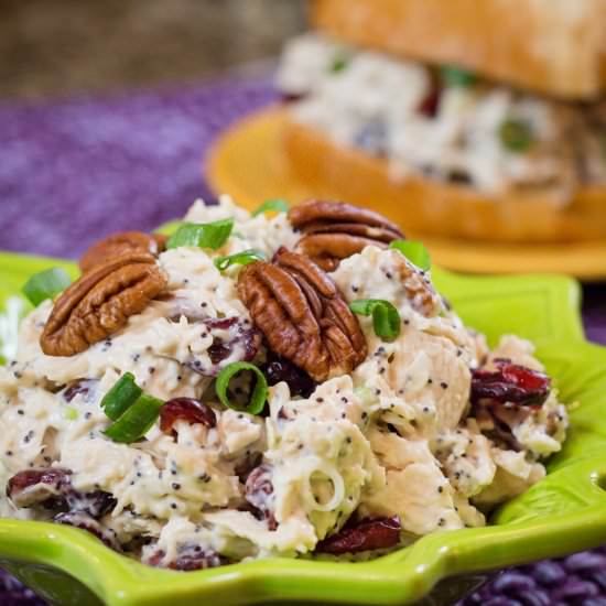 Cranberry Chicken Salad - Recipe photo by Devour Dinner