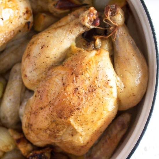 Roasted Whole Chicken with Apples - Recipe photo by adinutza