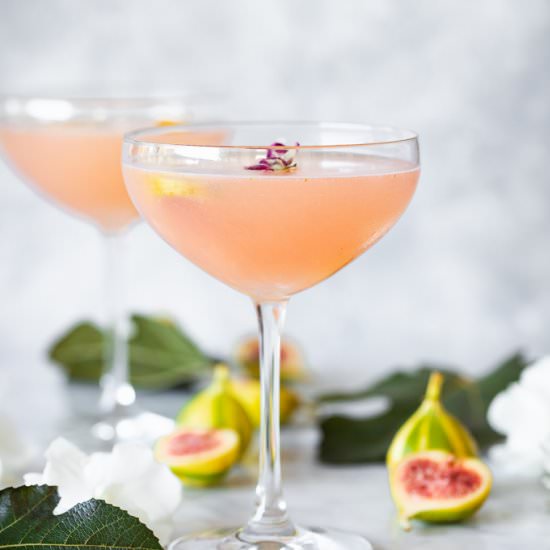 Fig Daiquiri with Fig Leaf Simple - Recipe photo by lepetitchefsb
