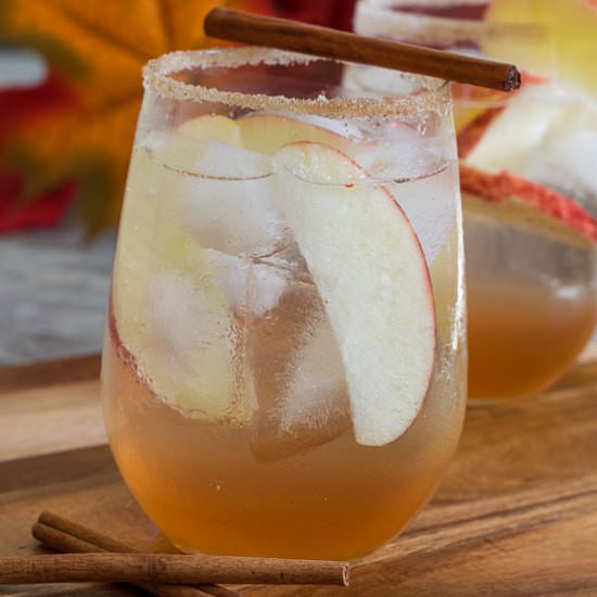 Apple Cinnamon Gin Fizz - Recipe photo by loveinmyoven