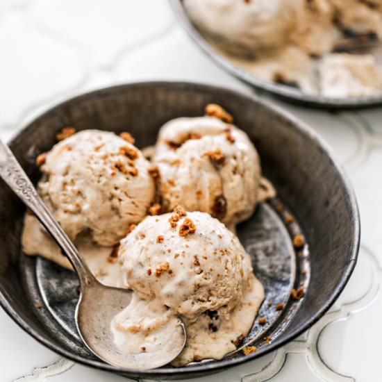 No Churn Pumpkin Spice Ice Cream - Recipe photo by goodlifeeats