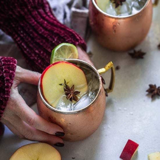 Apple Cider Moscow Mule - Recipe photo by platingsandpairings