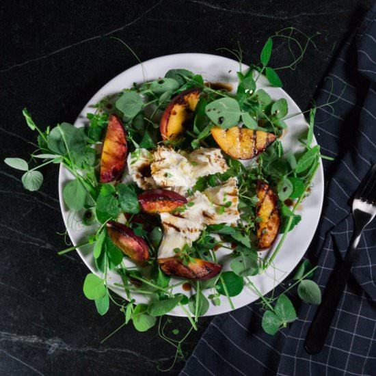 Pea Shoot Salad - Recipe photo by mosthungry