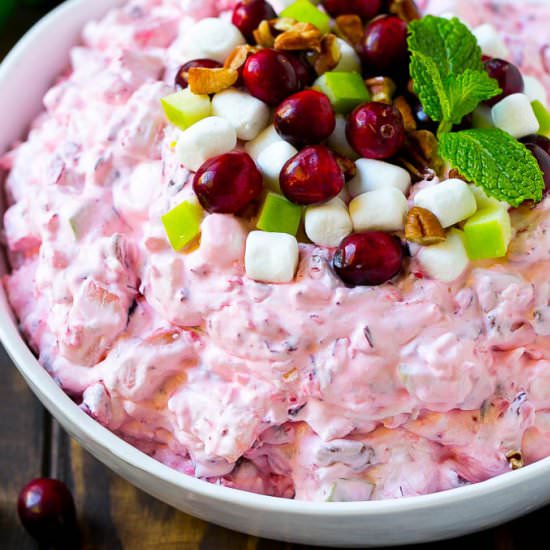 Cranberry Salad - Recipe photo by dinneratthezoo