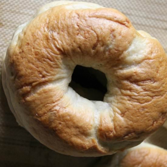Homemade Bagels - Recipe photo by theprairiehomestead