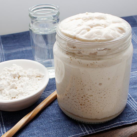 GLUTEN-FREE SOURDOUGH STARTER - Recipe photo by fresh is real