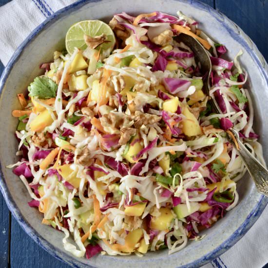 Mango Cabbage Salad - Recipe photo by Dr Lauras Kitchen