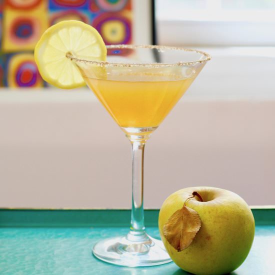 Smoky Tequila Cider Cocktail - Recipe photo by the good eats co