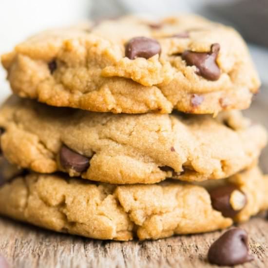 PEANUT BUTTER CHOCOLATE CHIP COOKIE - Recipe photo by Gonna Want Seconds