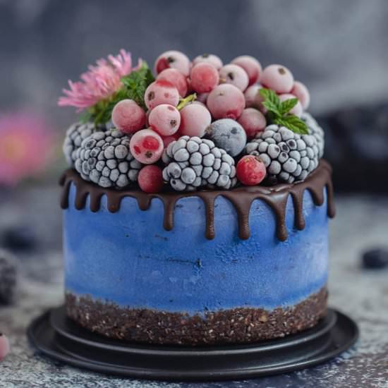 Blue spirulina mini cheesecake - Recipe photo by RainbowInMyKitchen