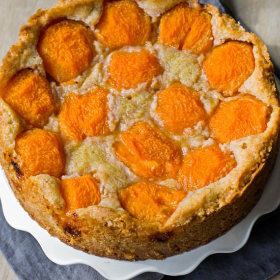 Dutch apricot butter cake - Recipe photo by Uit de pan van San