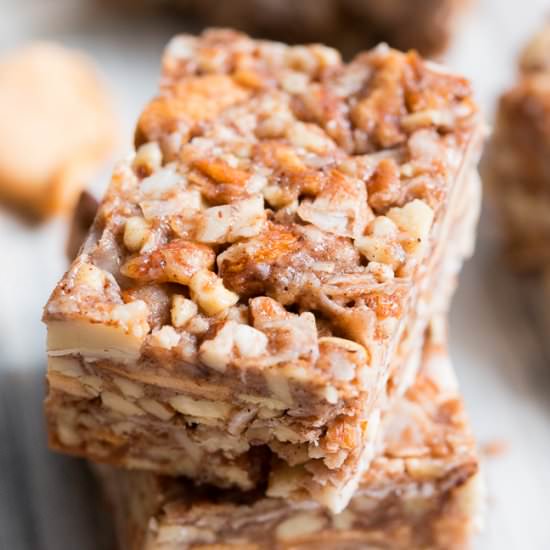 Apple Cinnamon Granola Bars - Recipe photo by paleorunningmomma