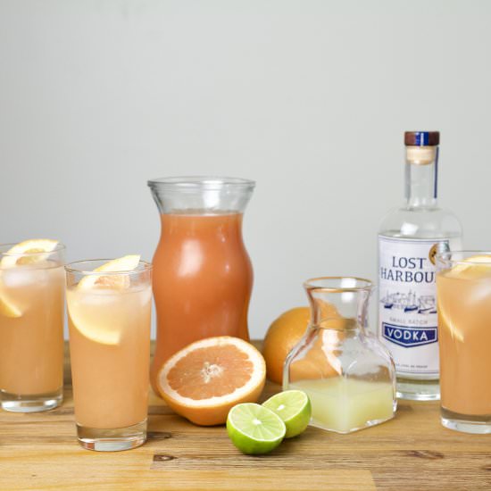 Vodka Paloma - Recipe photo by redhotandhungry