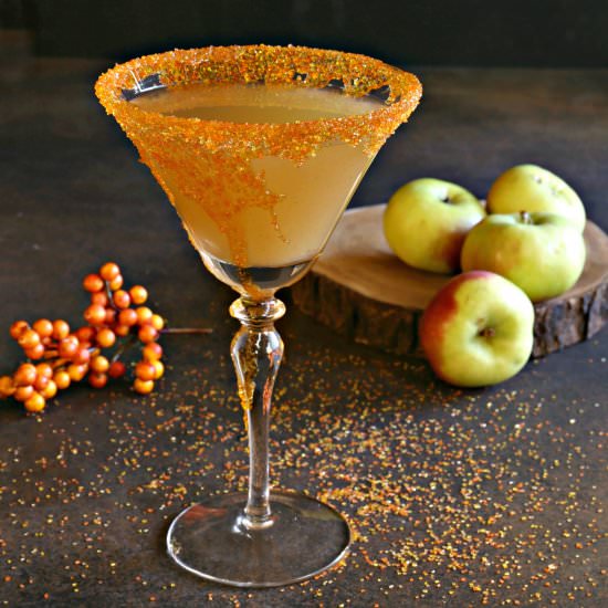 Autumn Harvest Bourbon Ginger Fizz - Recipe photo by Hungry Couple