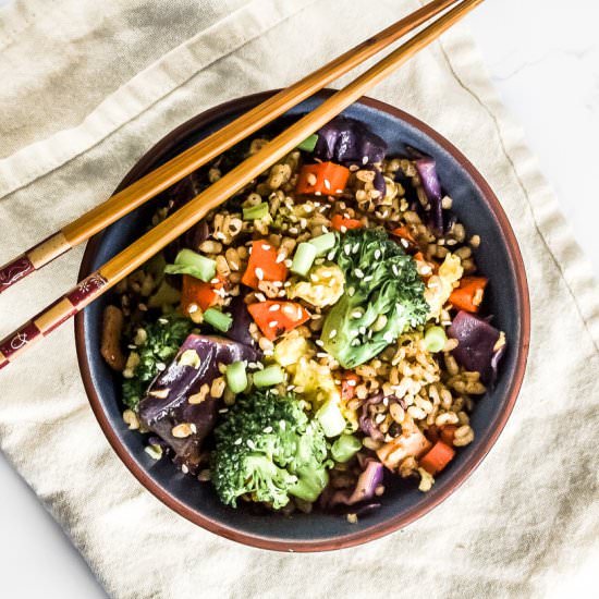 Garlic Salted Black Bean Fried Rice - Recipe photo by KitchenCartographer