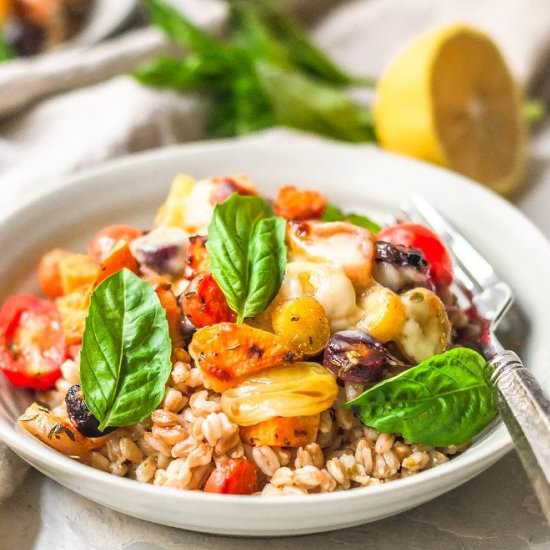 Fall Caprese Farro Salad - Recipe photo by heyemilyann