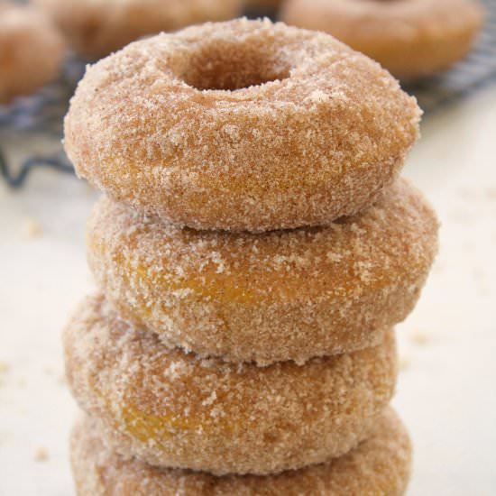 Baked Cinnamon Sugar Pumpkin Donuts - Recipe photo by sisterskneadsweets