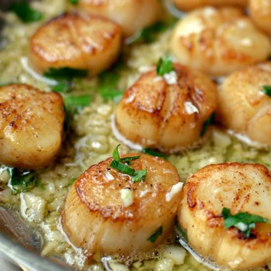 Garlic Lemon Butter Seared Scallops - Recipe photo by Small Town Woman
