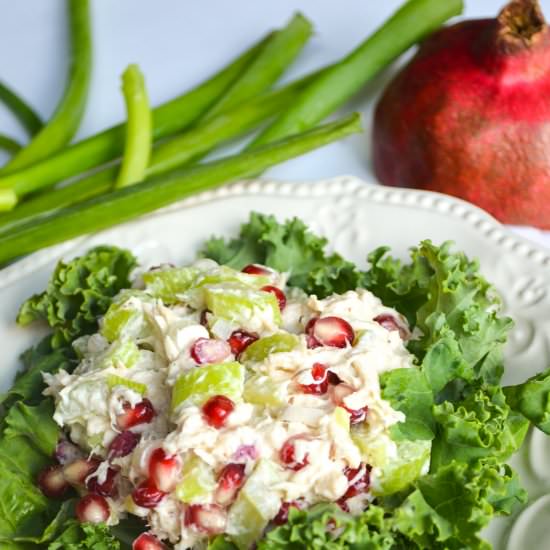 Pomegranate Chicken Salad - Recipe photo by theradiantchef