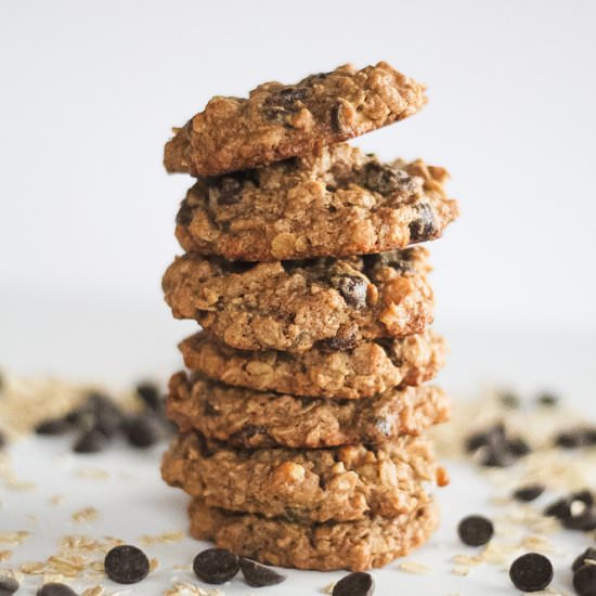 Chocolate Chip Oat Cookies - Recipe photo by finishedwithsalt