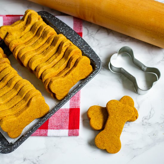 Pumpkin Peanut Butter Dog Treats - Recipe photo by cardamomandcoconut