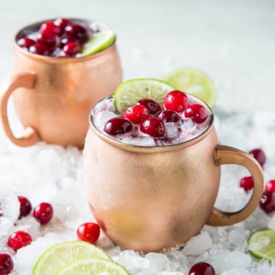 Cranberry Moscow Mule - Recipe photo by Spoonful of Flavor