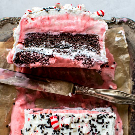 Peppermint Ice Cream Chocolate Cake - Recipe photo by apleasantlittlekitchen