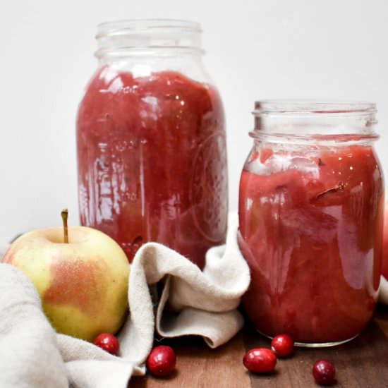 5-Ingredient Cranberry Applesauce - Recipe photo by Sarah Gold Nutrition