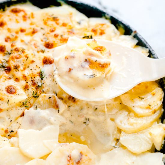 Cheesy Scalloped Potatoes - Recipe photo by MunchkinTime