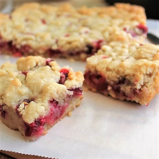 Fresh Cranberry Bars - Recipe photo by MyRecipeReviews