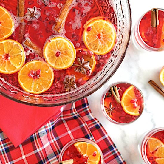 Cranberry Vodka Christmas Punch - Recipe photo by BirdsParty