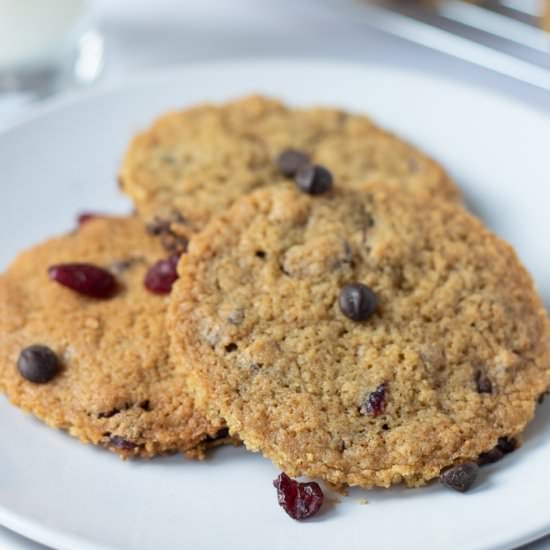Chocolate Chip Cranberry Cookies - Recipe photo by neilshealthymeals
