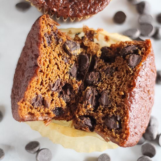 Chocolate Chip Pumpkin Muffins - Recipe photo by finishedwithsalt
