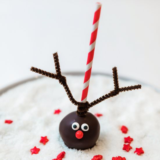Rudolph Cake Pops - Recipe photo by The Sweet Nerd