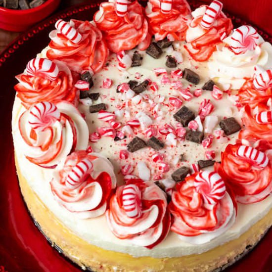 Peppermint Bark Cheesecake - Recipe photo by QueensleeAppetit