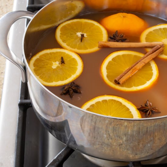 Hot Mulled Cider - Recipe photo by For the Love of Cooking