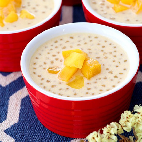 MANGO SAGO WITH COCONUT MILK - Recipe photo by foxy folksy