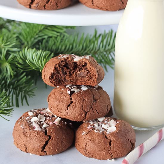 Double Chocolate Peppermint Cookies - Recipe photo by finishedwithsalt