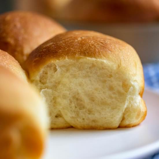 Gramma's Potato Rolls - Recipe photo by keviniscooking