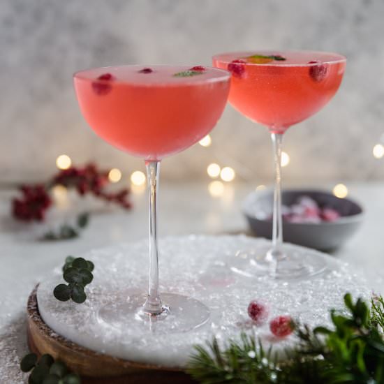 cranberry gin shaker - Recipe photo by wellseasonedstudio