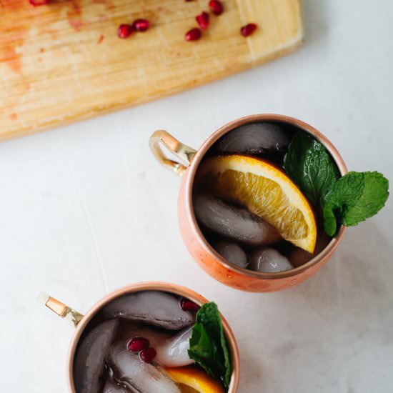 Pomegranate Orange Moscow Mule - Recipe photo by plantedpurpose
