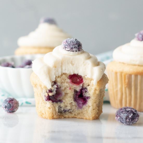 Gluten-Free Blueberry Cupcakes - Recipe photo by gluten-free palate