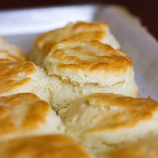 JoJo's Biscuits - Recipe photo by kendrastreats