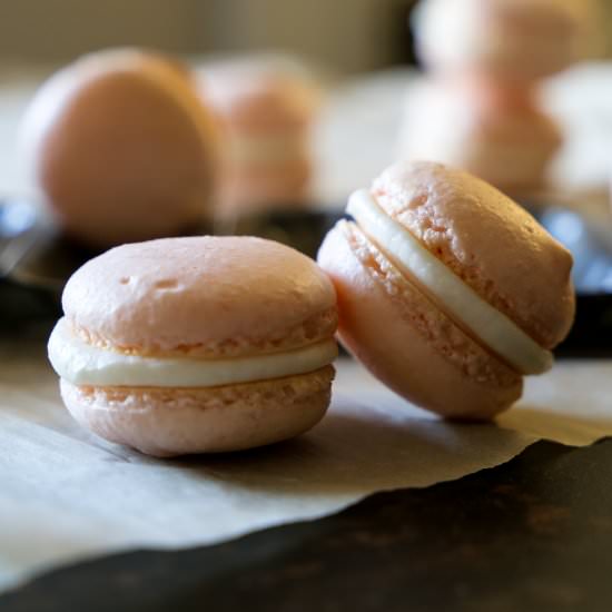 Macarons - Recipe photo by pageandplate