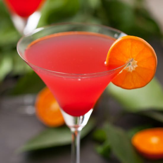 Jalapeño-cranberry cosmos - Recipe photo by thanksgiving